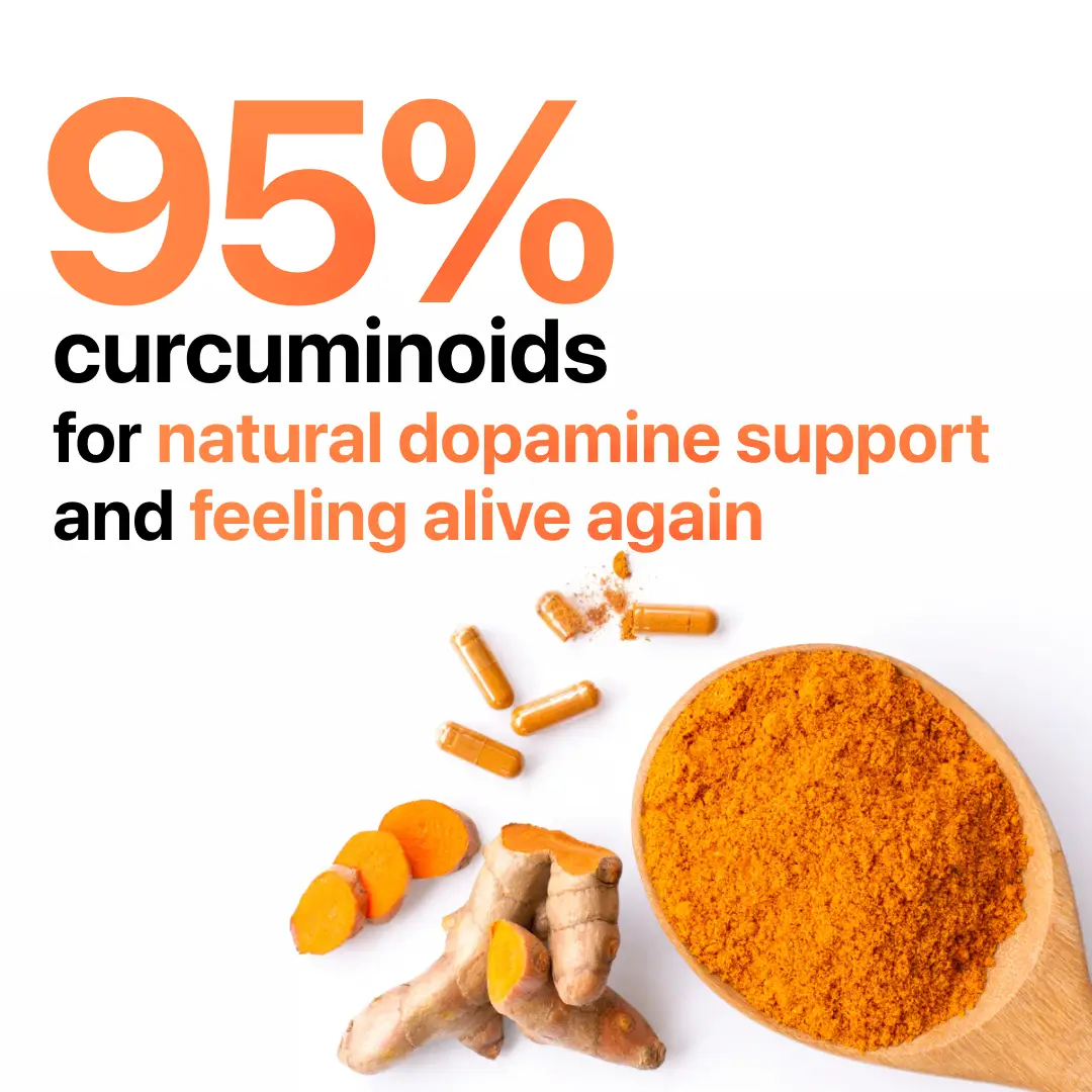 Turmeric Curcumin 95 - Image 4
